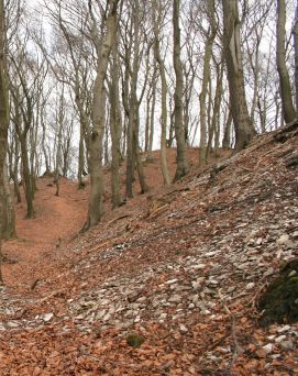 Die heute noch erkennbaren Wallanlagen der Löwenburg: 33,8 KB